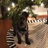 jessie_donker